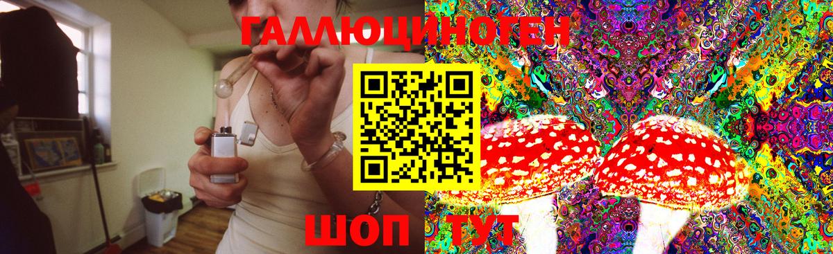 Галлюциногенные грибы Magic Shrooms Черкесск